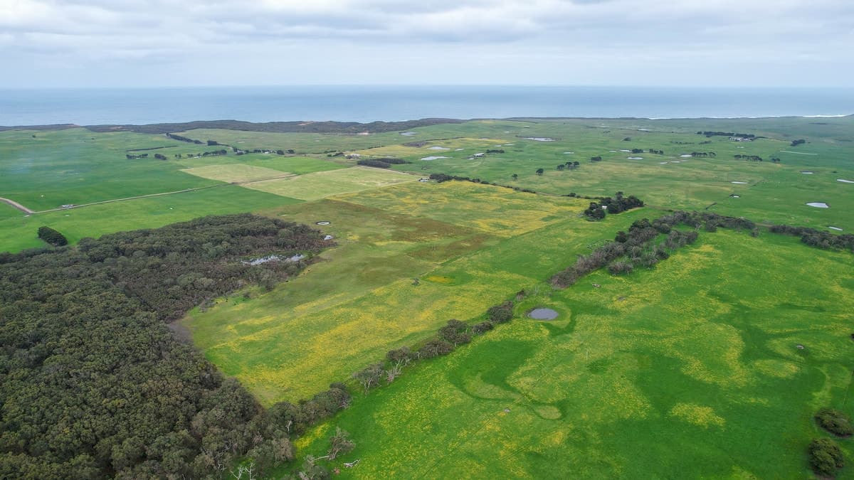 Blakes Road, Nirranda South, VIC, Nirranda South - Thumbnail 4