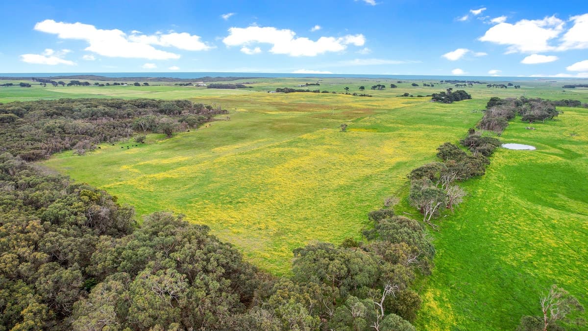Blakes Road, Nirranda South, VIC, Nirranda South - Thumbnail 5
