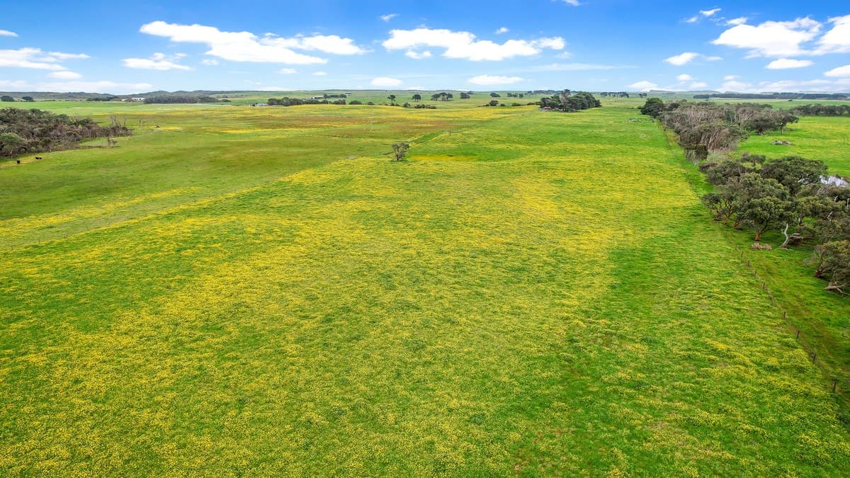 Blakes Road, Nirranda South, VIC, Nirranda South - Thumbnail 6