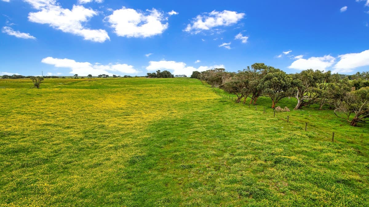 Blakes Road, Nirranda South, VIC, Nirranda South - Thumbnail 7