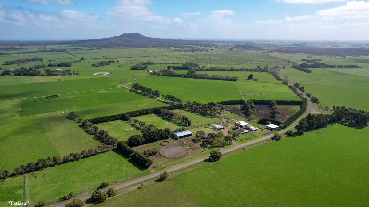 2012 Mt Napier Road, Gazette, VIC, Gazette - Thumbnail 6