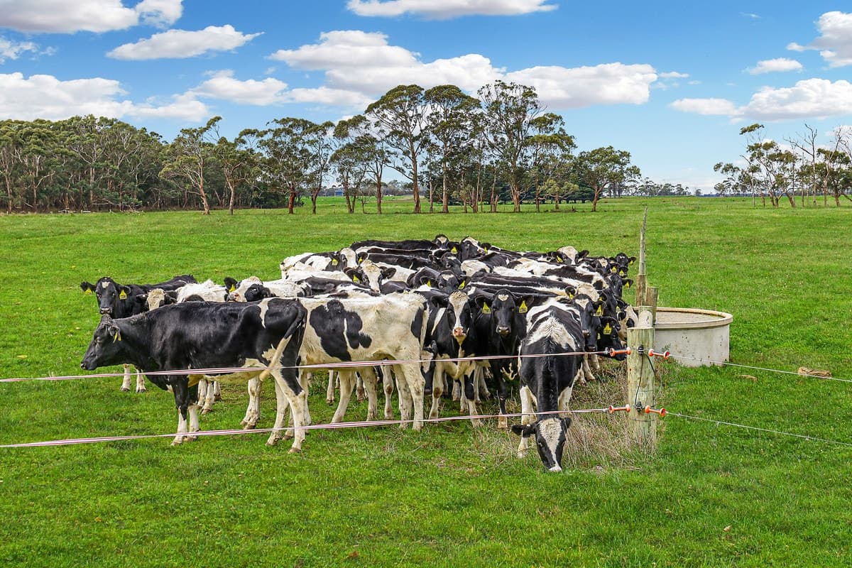 156 McConnells Road, Taroon, VIC, Taroon - Thumbnail 5