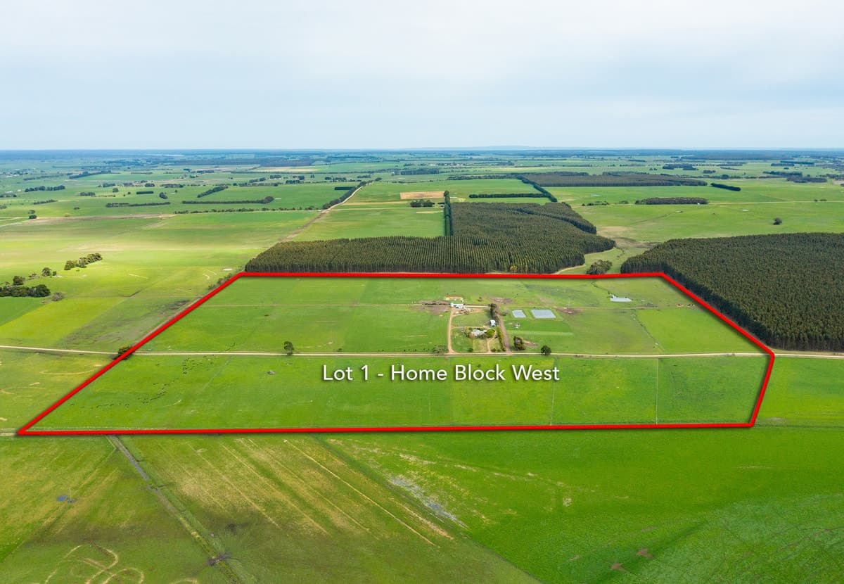 124 Jaffrays Road, Wallacedale, VIC, Wallacedale - Thumbnail 2