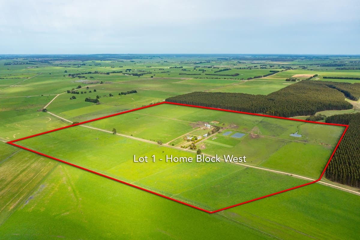 124 Jaffrays Road, Wallacedale, VIC, Wallacedale - Thumbnail 3