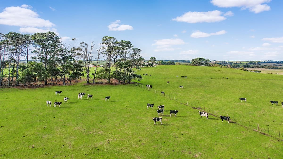 40 Crothers Lane, Grassmere, VIC, Grassmere - Thumbnail 4