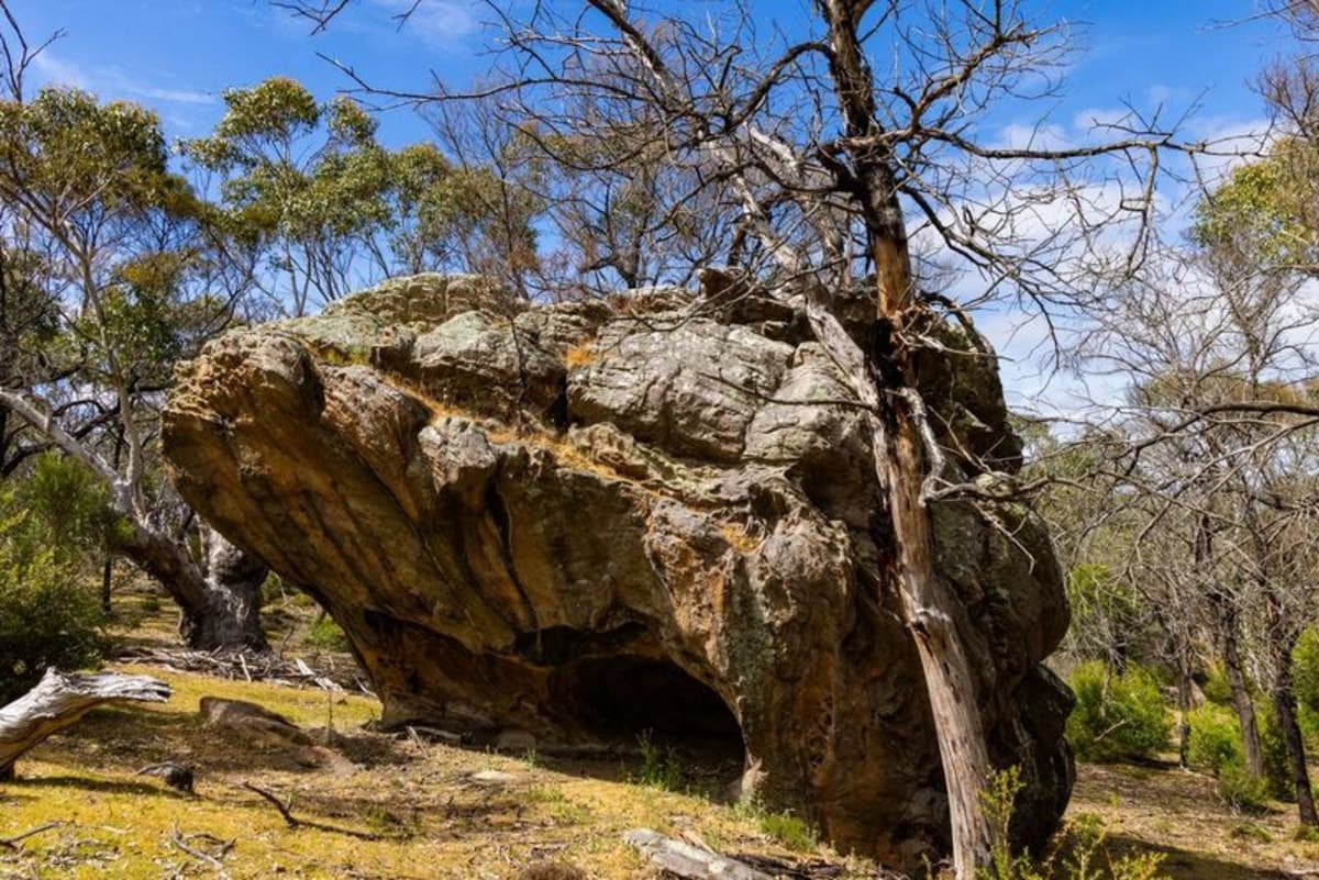 8376 Grampians Road, Dunkeld, VIC, Dunkeld - Thumbnail 4