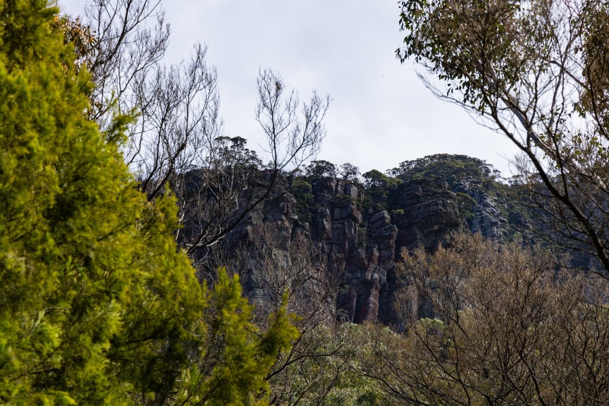 8376 Grampians Road, Dunkeld, VIC, Dunkeld - Thumbnail 6