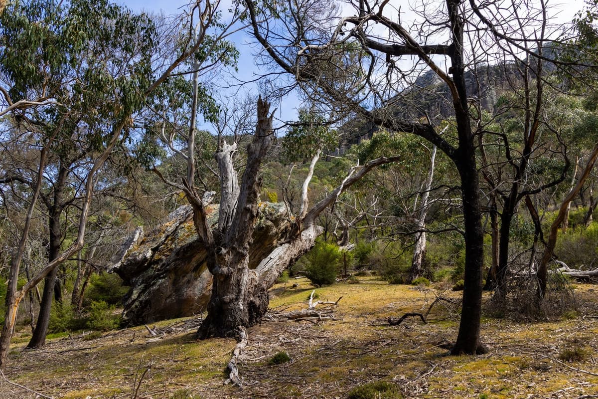 8376 Grampians Road, Dunkeld, VIC, Dunkeld - Thumbnail 7