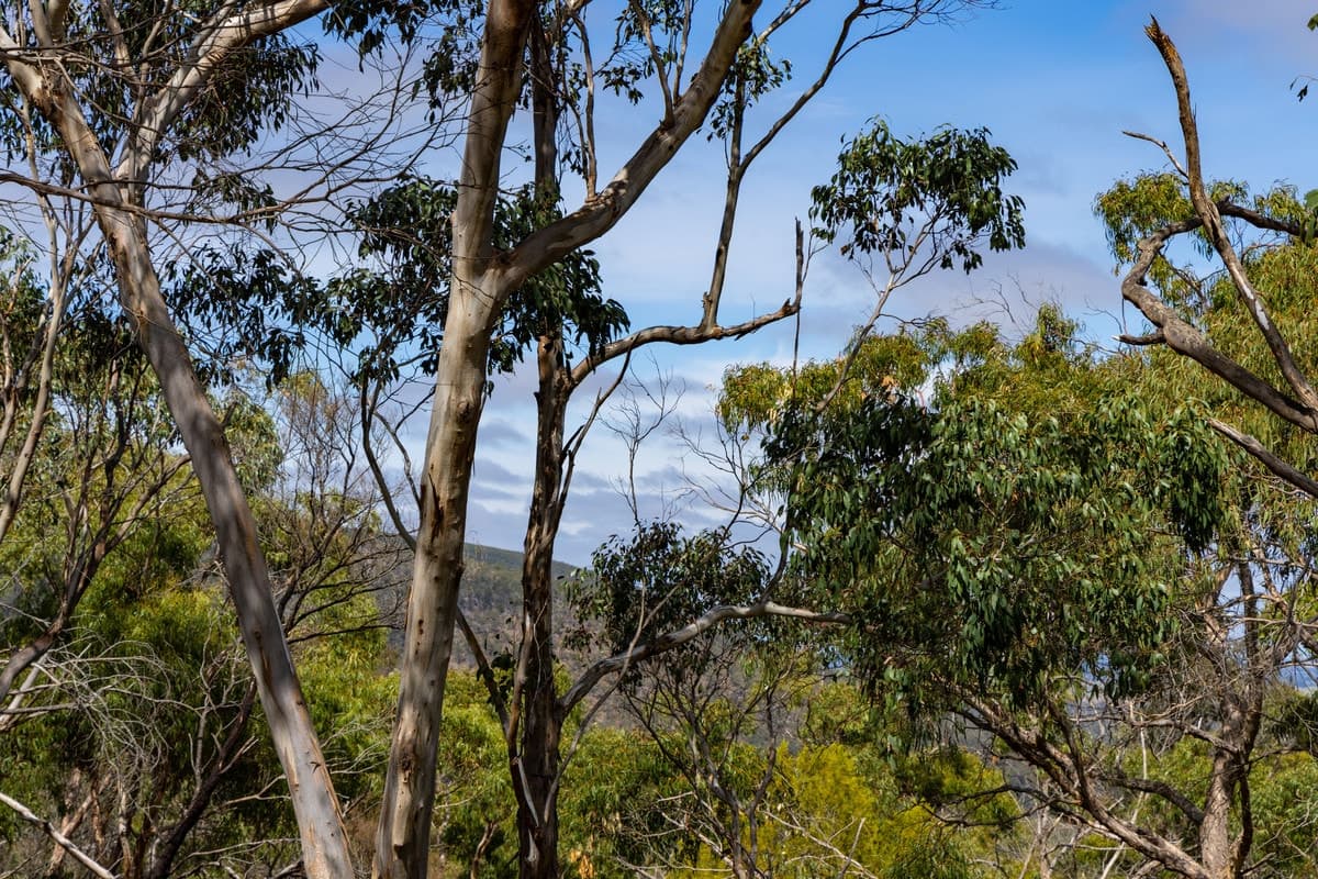 8376 Grampians Road, Dunkeld, VIC, Dunkeld - Thumbnail 8