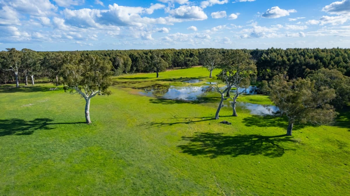 3808 Casterton-Edenhope Road, Chetwynd, VIC, Chetwynd - Thumbnail 2