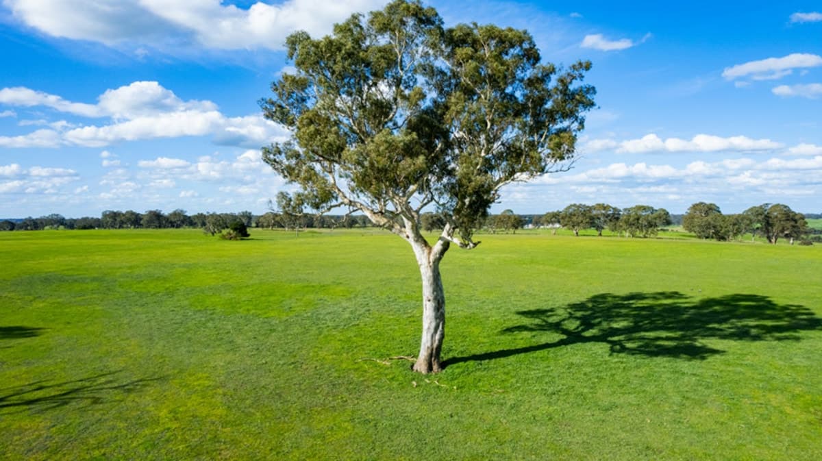 3808 Casterton-Edenhope Road, Chetwynd, VIC, Chetwynd - Thumbnail 3