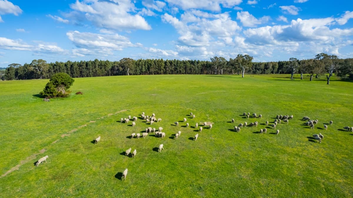 3808 Casterton-Edenhope Road, Chetwynd, VIC, Chetwynd - Thumbnail 8