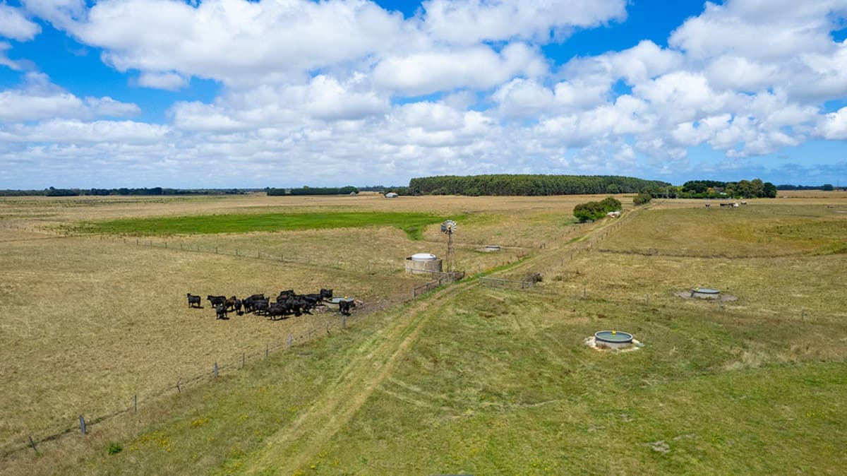 4762 Woolsthorpe-Heywood Road, Bessiebelle, VIC, Bessiebelle - Thumbnail 2
