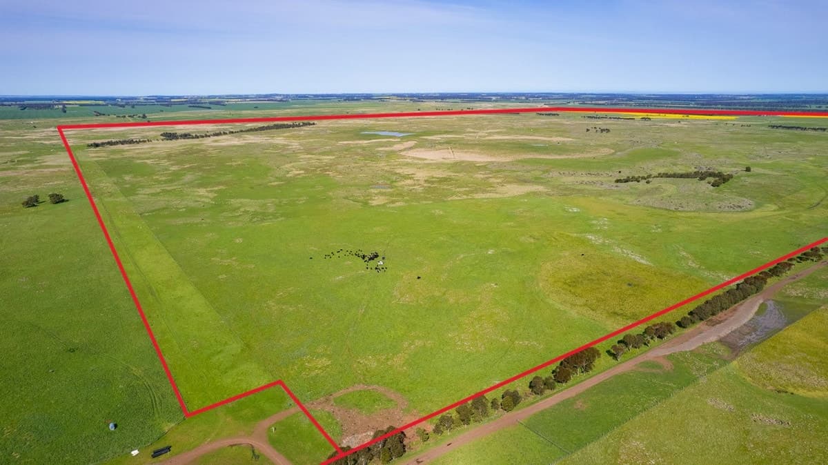 Selkirk Rises Road, Mingay, VIC, Mingay - Thumbnail 2