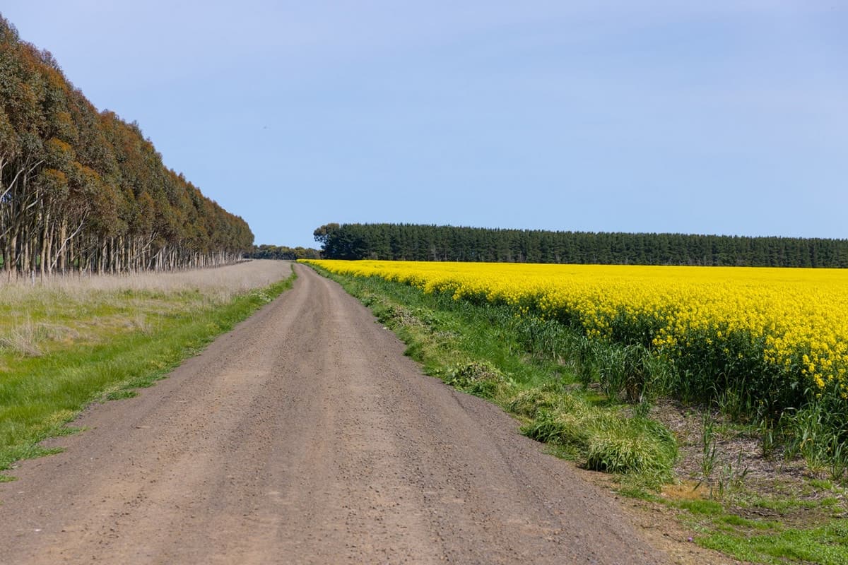Selkirk Rises Road, Mingay, VIC, Mingay - Thumbnail 3