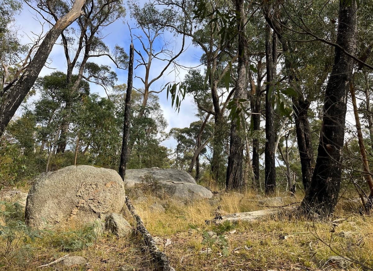 Hardings Road, Nulla Vale, VIC, Nulla Vale - Thumbnail 5