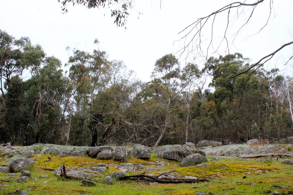 Hardings Road, Nulla Vale, VIC, Nulla Vale - Thumbnail 8