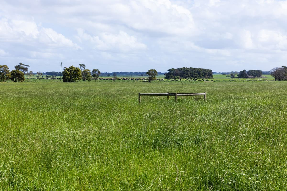 19 Harneys Road, Garvoc, VIC, Garvoc - Thumbnail 6