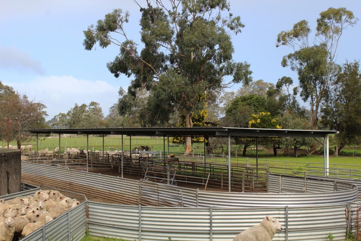 3248 Henty Highway, Cavendish, VIC, Cavendish - Thumbnail 4