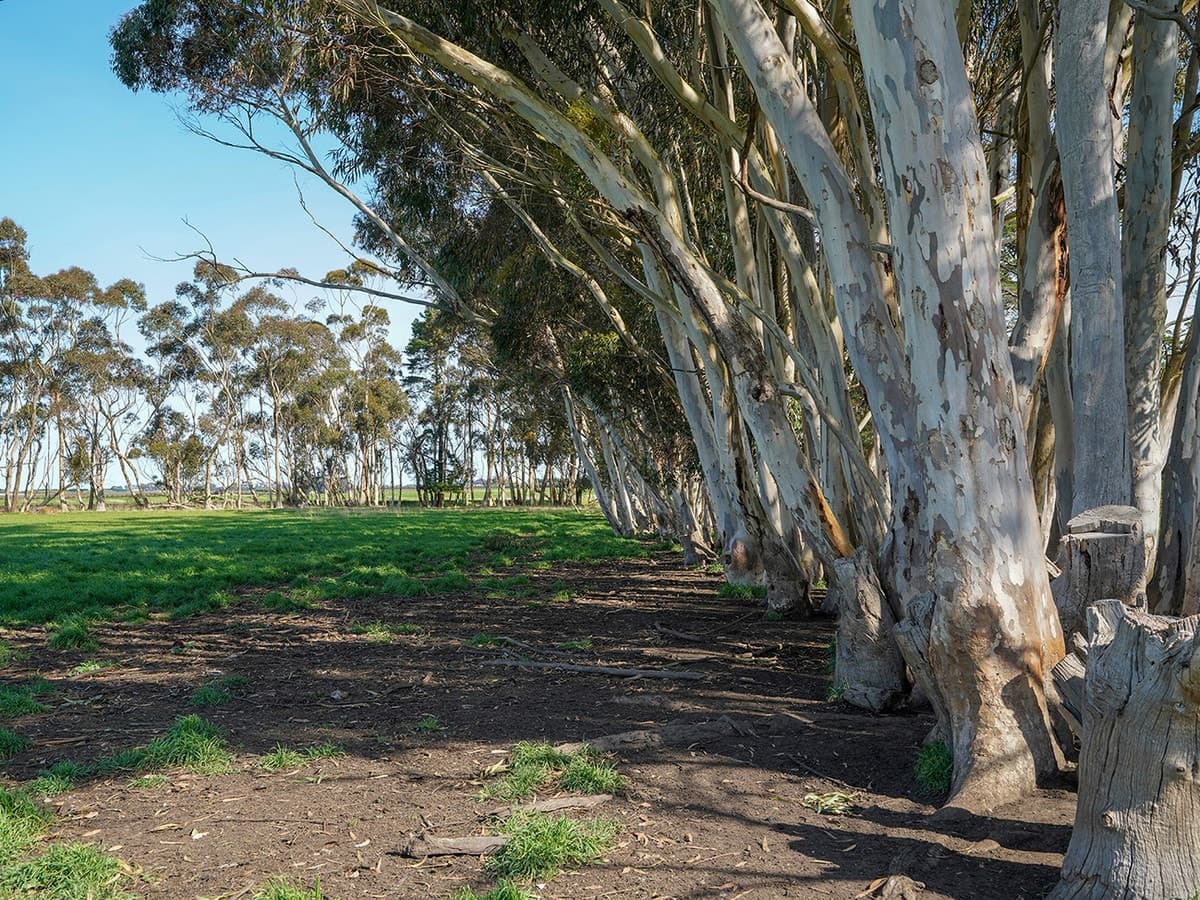 3078 Victoria Point Road, Strathkellar, VIC, Strathkellar - Image 1