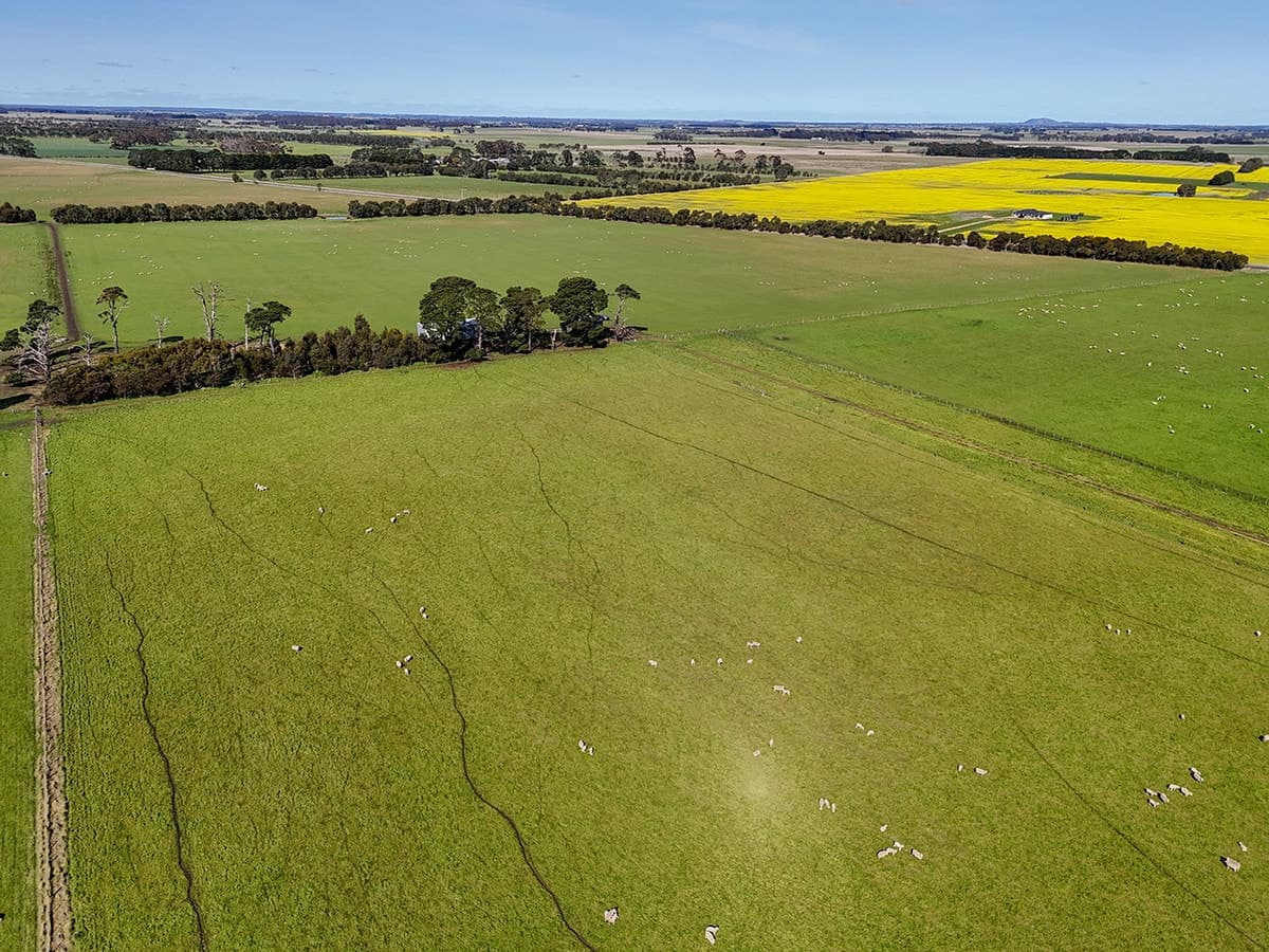 3078 Victoria Point Road, Strathkellar, VIC, Strathkellar - Thumbnail 4