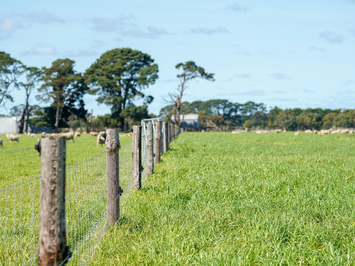 3078 Victoria Point Road, Strathkellar, VIC, Strathkellar - Thumbnail 6