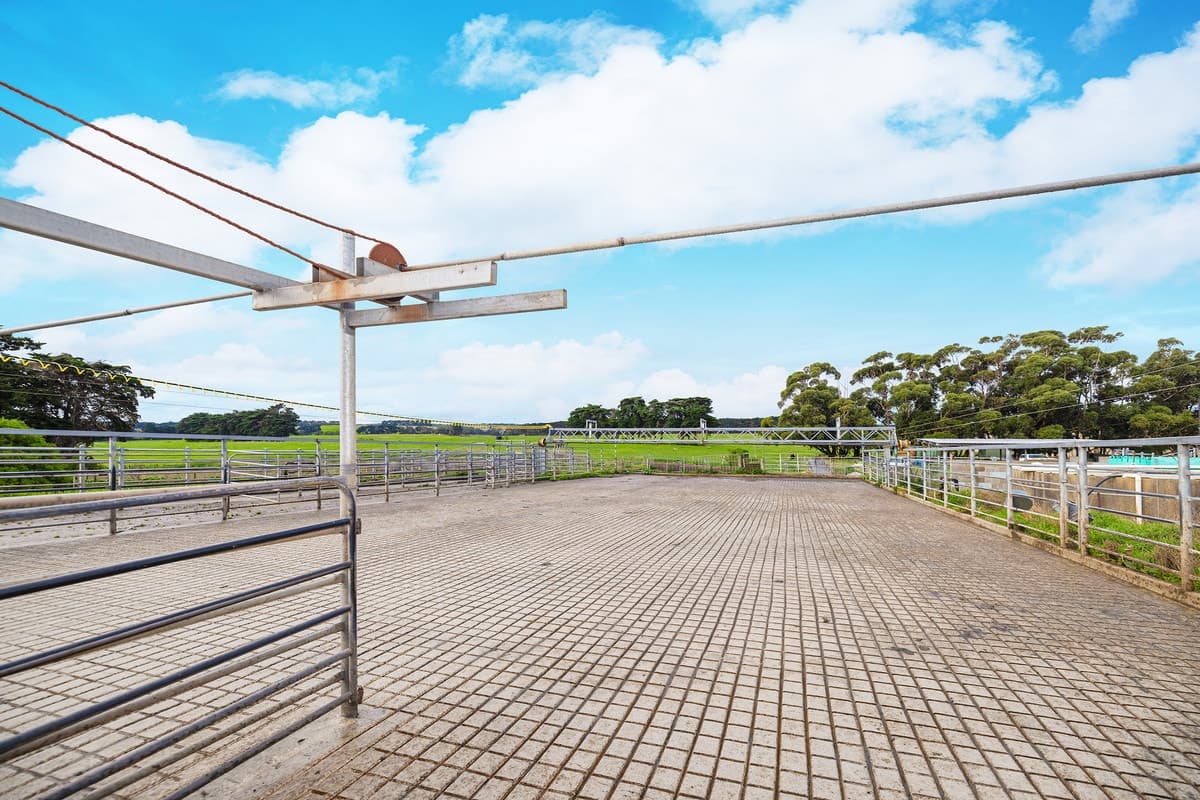 149 Chisletts Road, Cudgee, VIC, Cudgee - Thumbnail 6