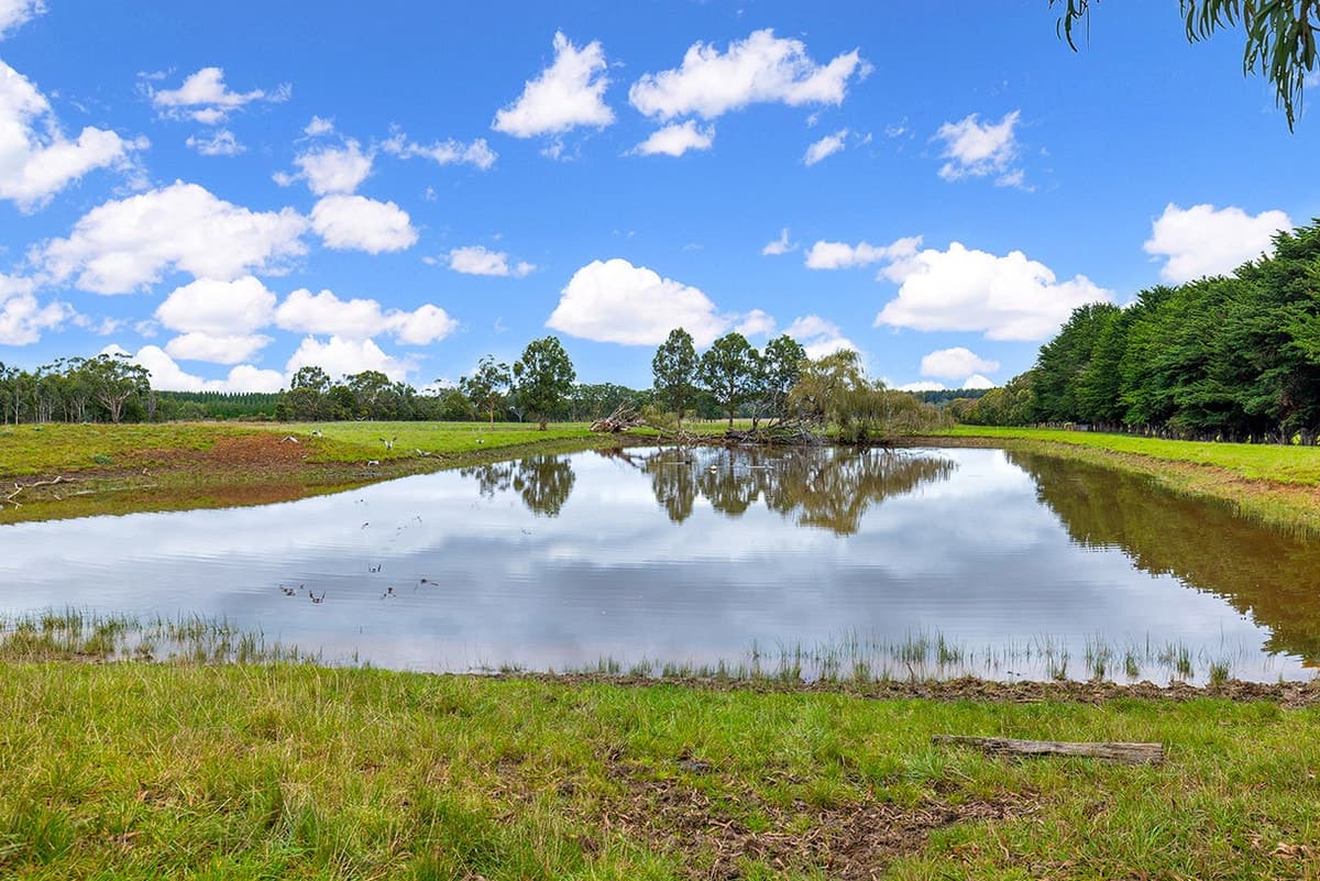 3558 Henty Highway, Heywood, VIC, Heywood - Thumbnail 4