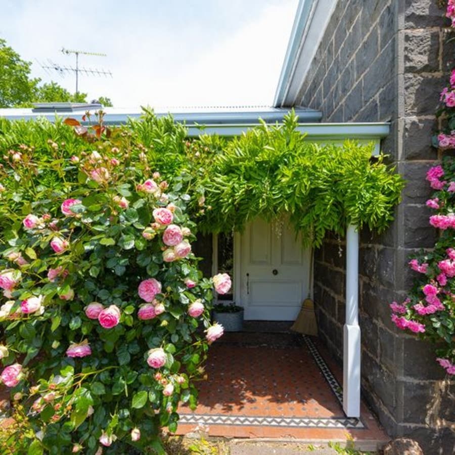 899 Stonefield Lane, Penshurst, VIC, Penshurst - Thumbnail 5