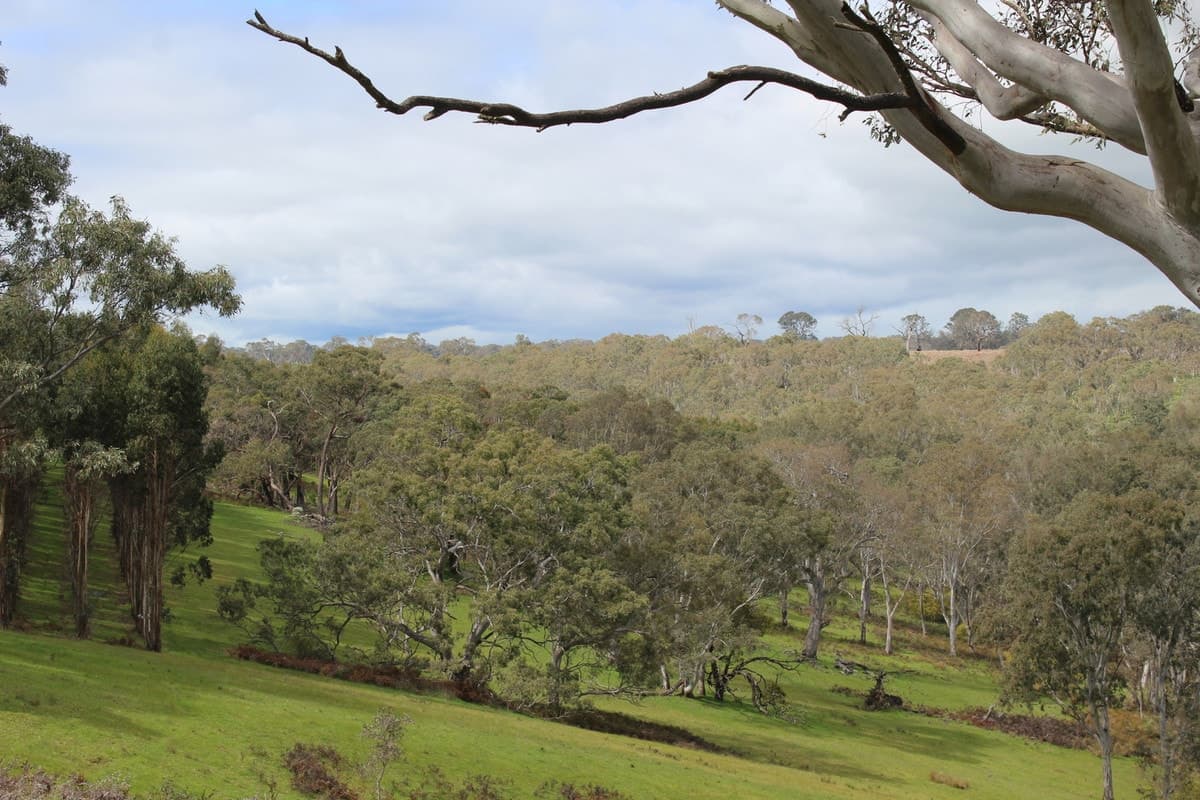 1021 Careys Road, Nareen, VIC, Nareen - Thumbnail 4
