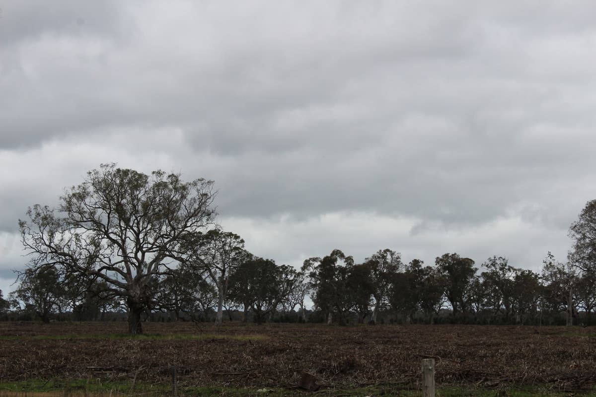 1021 Careys Road, Nareen, VIC, Nareen - Thumbnail 7