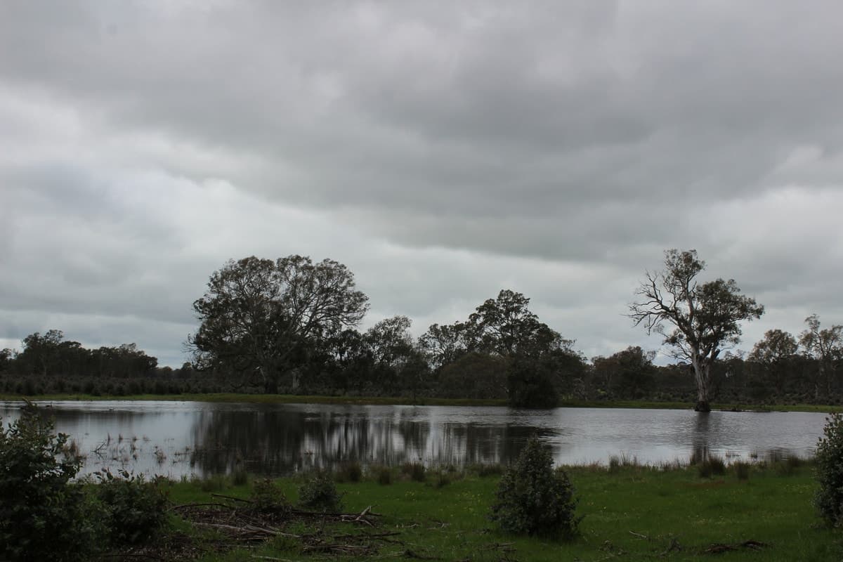 1021 Careys Road, Nareen, VIC, Nareen - Thumbnail 8