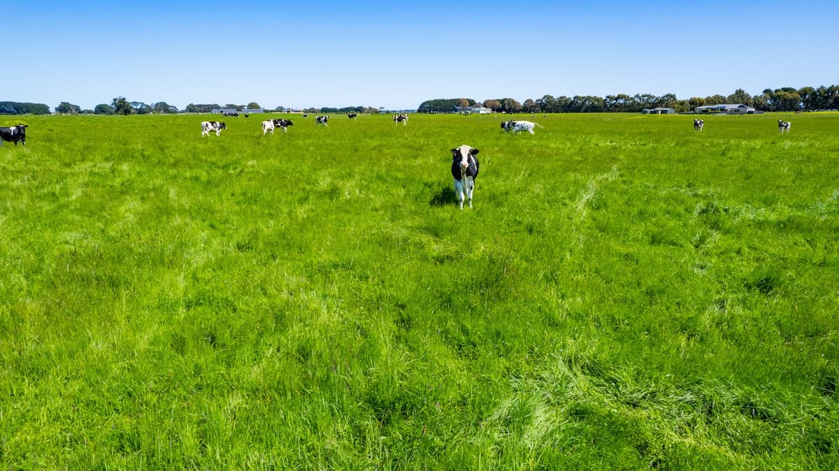 229 Wangoom Road, Warrnambool, VIC, Warrnambool - Thumbnail 3