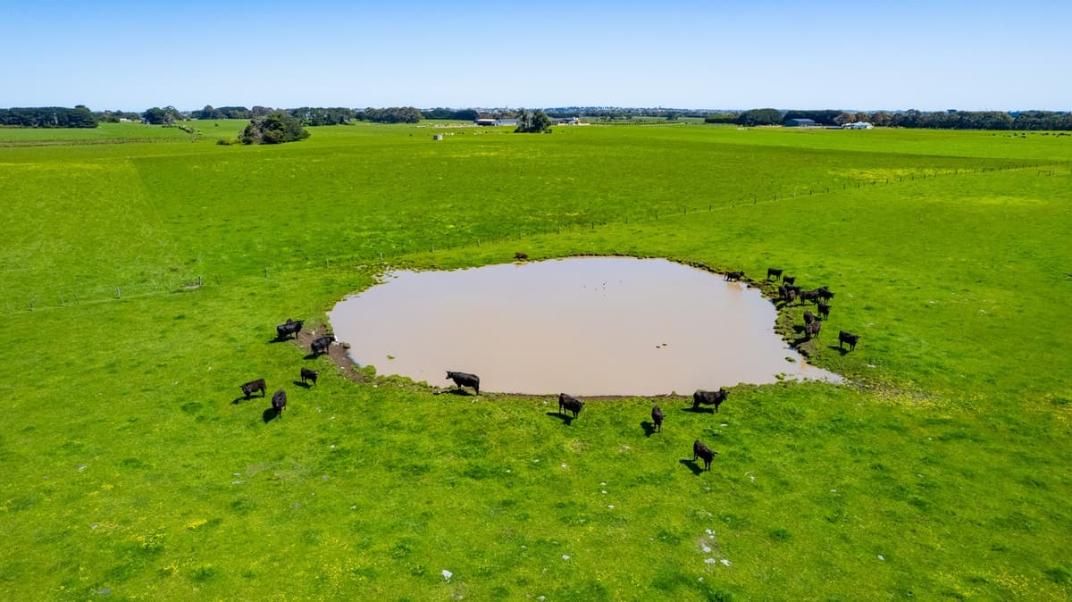 229 Wangoom Road, Warrnambool, VIC, Warrnambool - Thumbnail 5