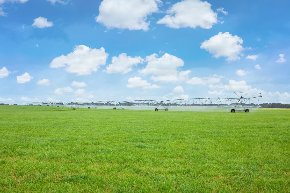 475 Nine Mile Creek Road, Koroit, VIC, Koroit - Thumbnail 2