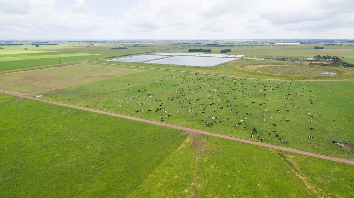 475 Nine Mile Creek Road, Koroit, VIC, Koroit - Thumbnail 5