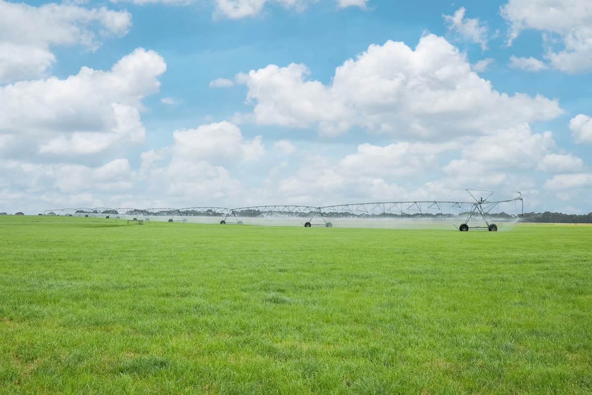 475 Nine Mile Creek Road, Koroit, VIC, Koroit - Thumbnail 6