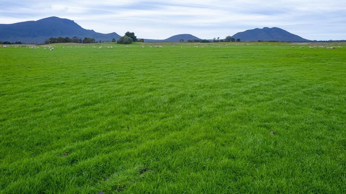 Howells Road, Victoria Valley, VIC, Victoria Valley - Thumbnail 2