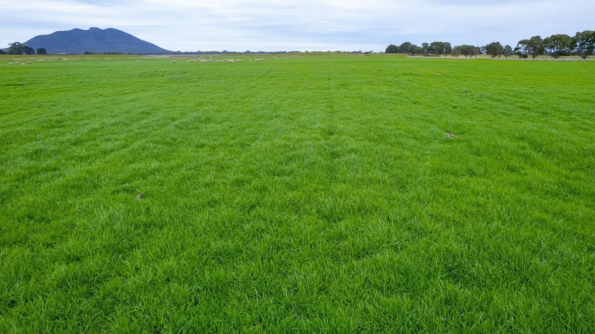 Howells Road, Victoria Valley, VIC, Victoria Valley - Thumbnail 3