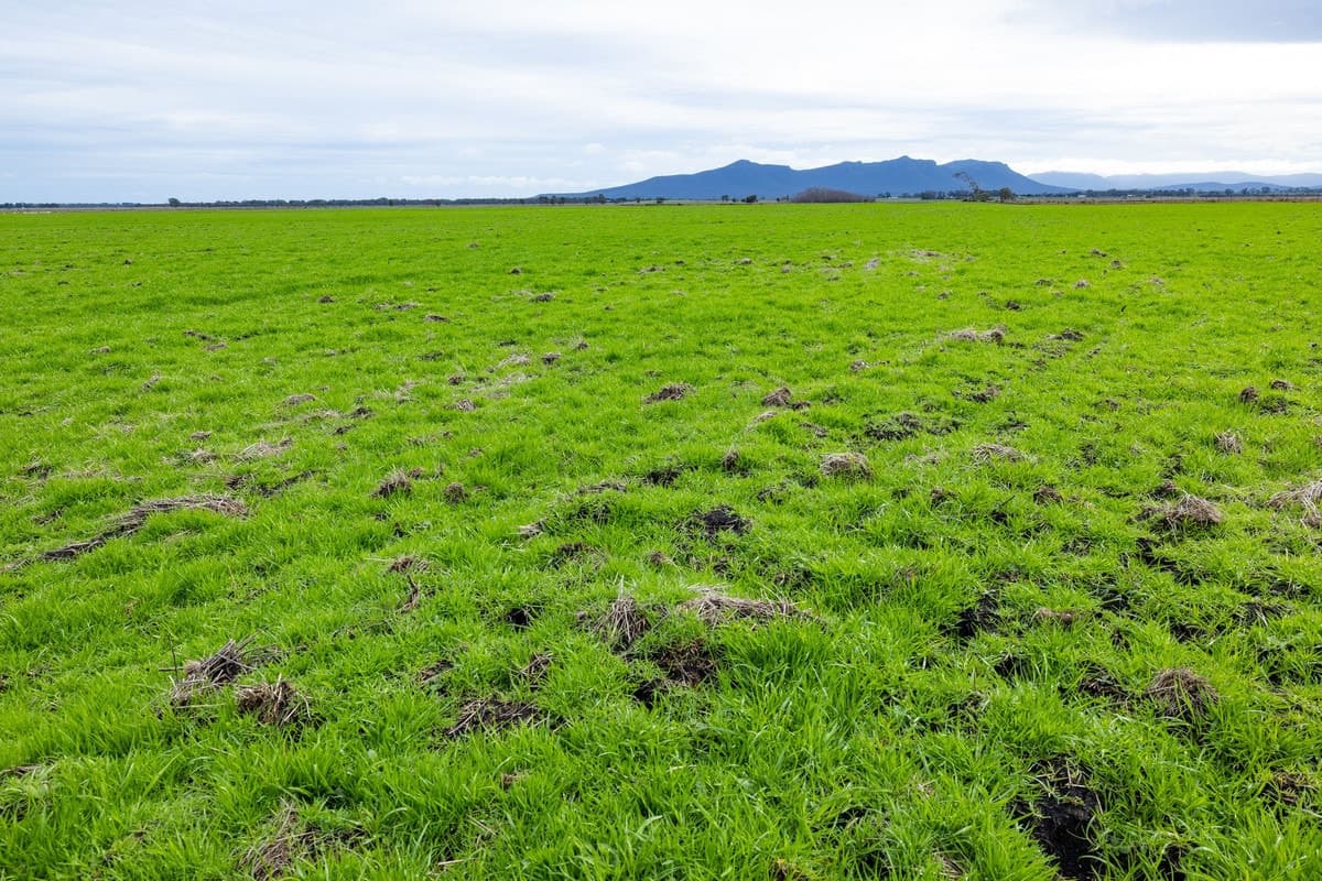 Howells Road, Victoria Valley, VIC, Victoria Valley - Thumbnail 4
