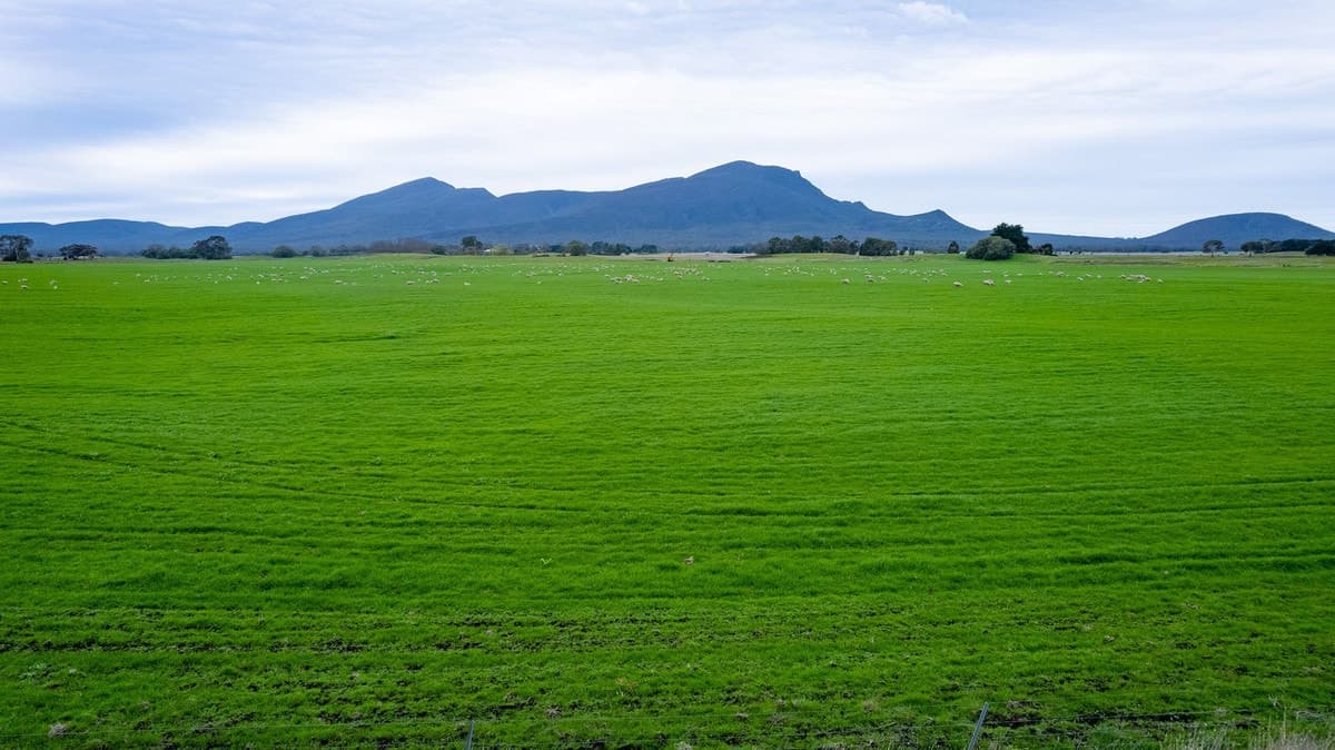 Howells Road, Victoria Valley, VIC, Victoria Valley - Thumbnail 6