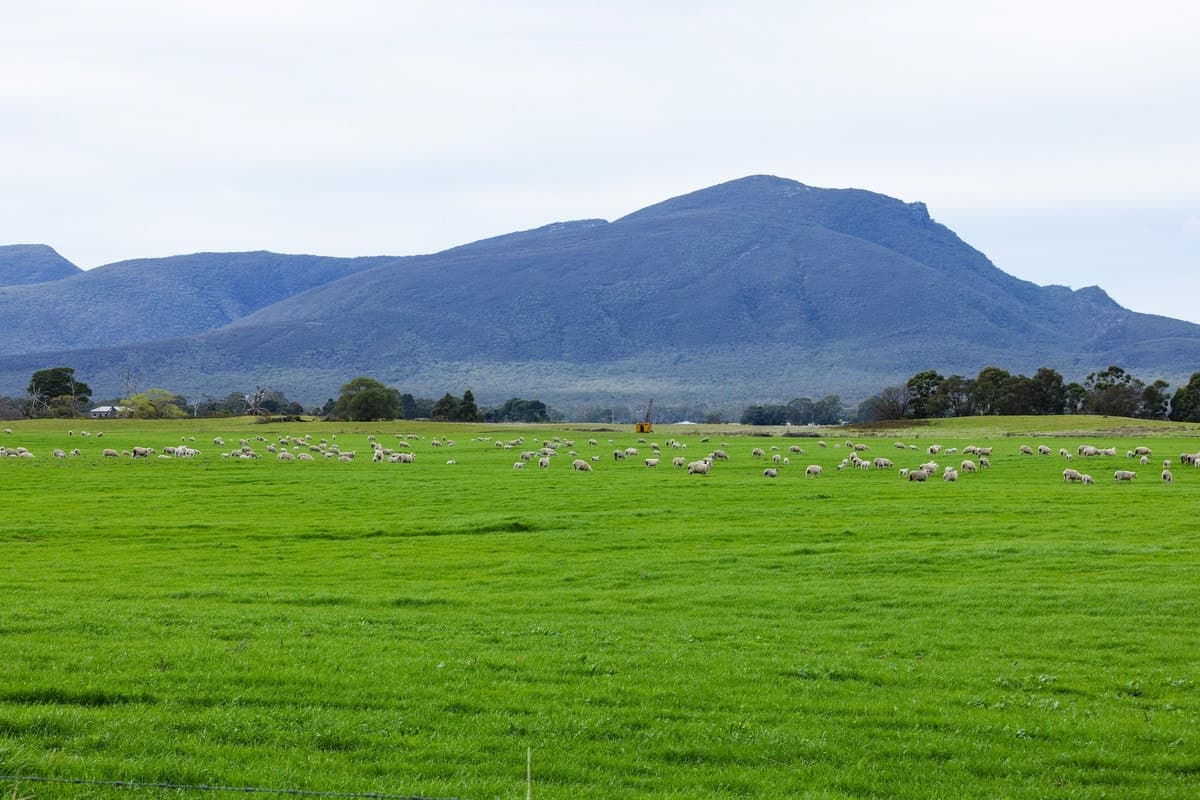 Howells Road, Victoria Valley, VIC, Victoria Valley - Thumbnail 8