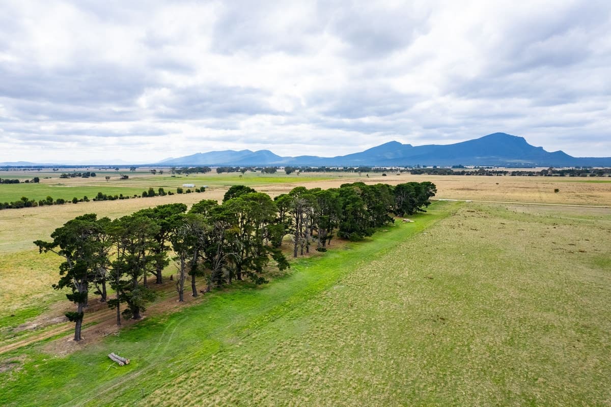 318 Mt Sturgeon SS Road, Dunkeld, VIC, Dunkeld - Thumbnail 7