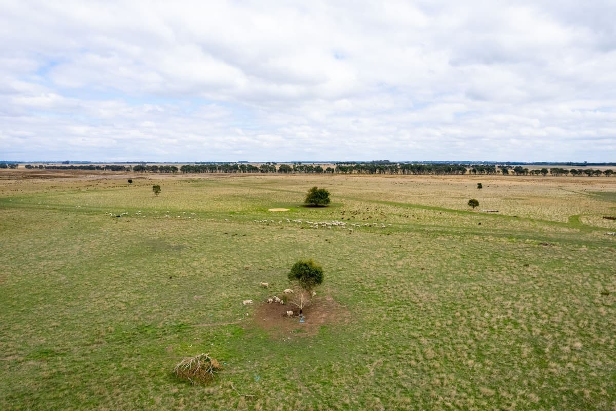 318 Mt Sturgeon SS Road, Dunkeld, VIC, Dunkeld - Thumbnail 8