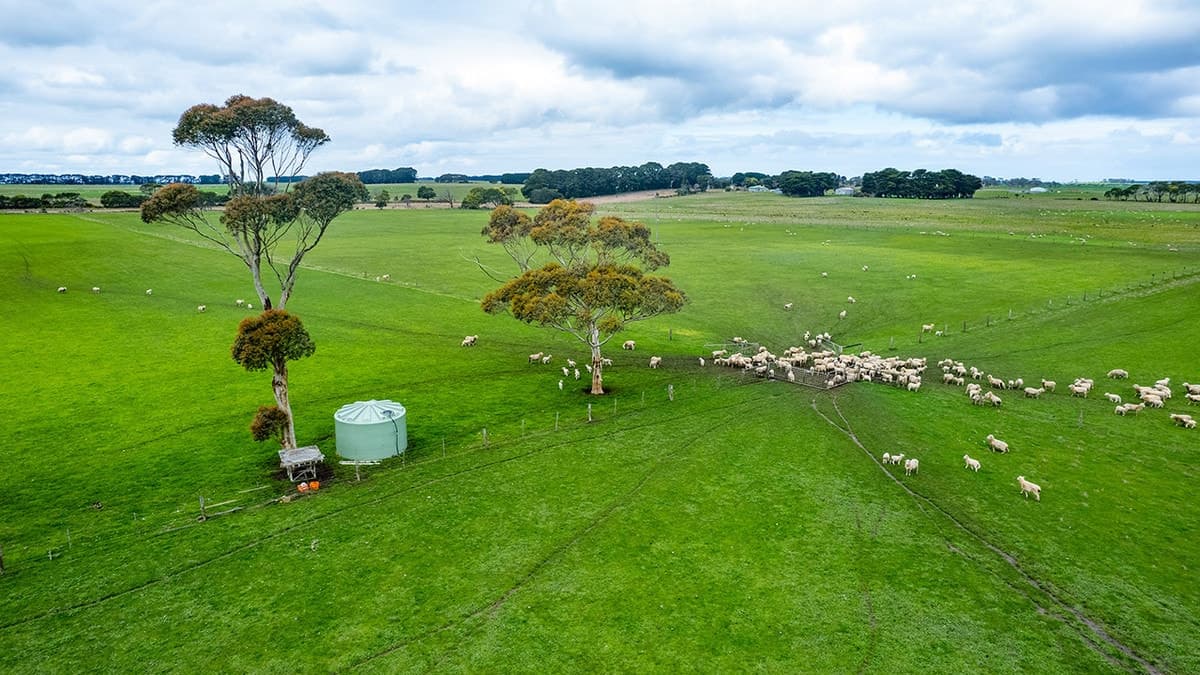 Dog Hole Road, Broadwater, VIC, Broadwater - Thumbnail 2