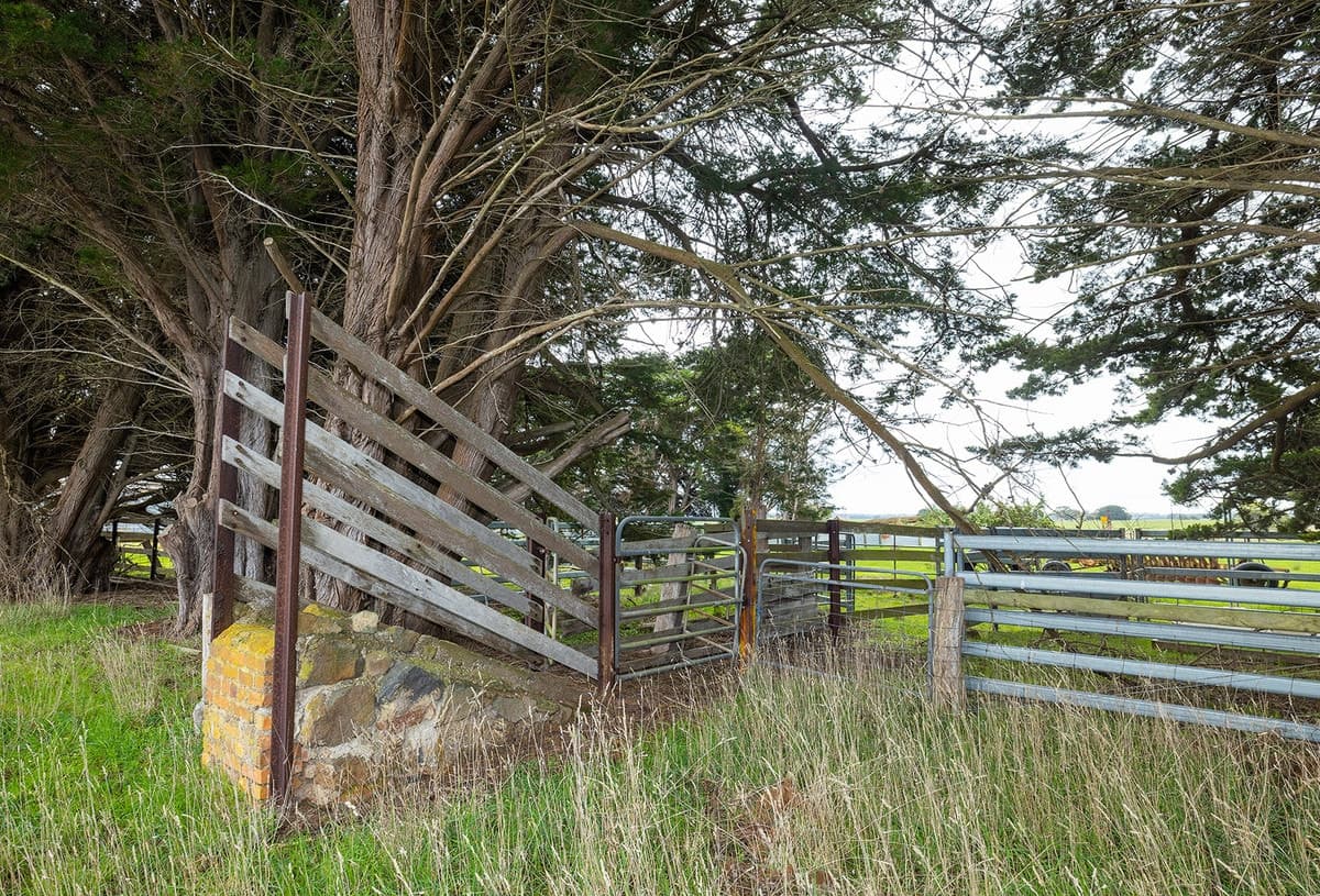 Dog Hole Road, Broadwater, VIC, Broadwater - Thumbnail 5