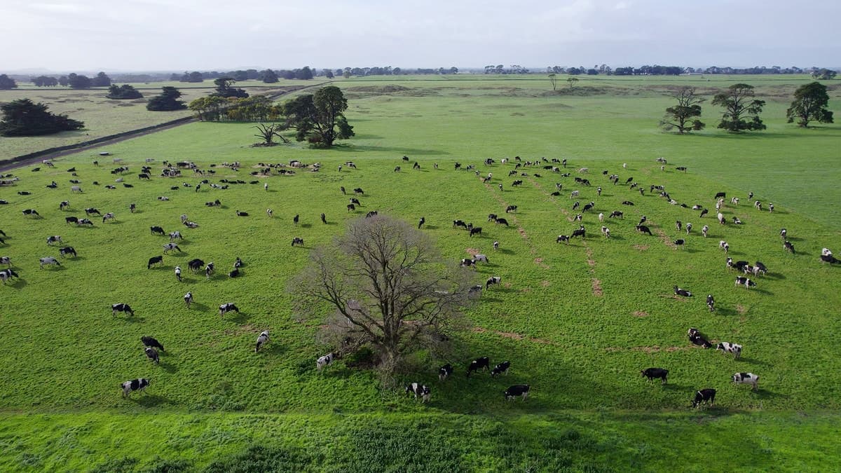 1801 Darlington Terang Road, Kolora, VIC, Kolora - Thumbnail 3
