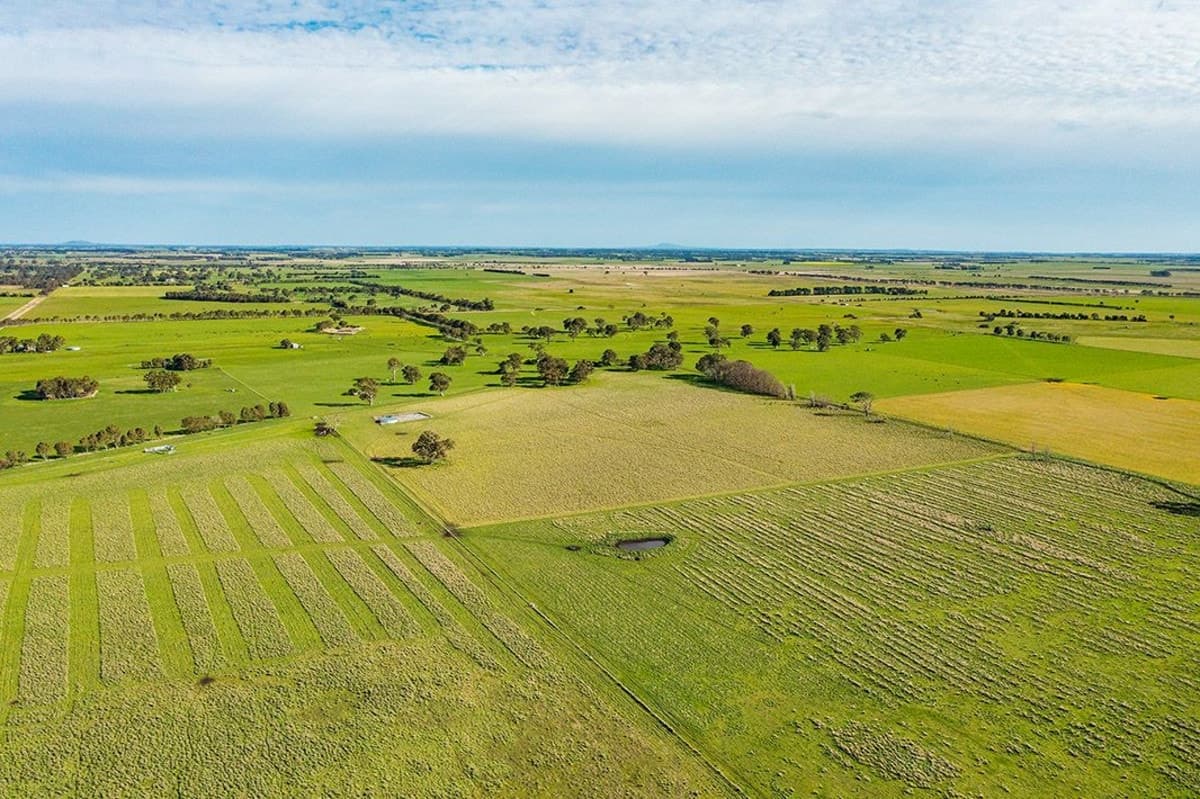 Howells Road ( CA 109), Victoria Valley, VIC, Victoria Valley - Thumbnail 4