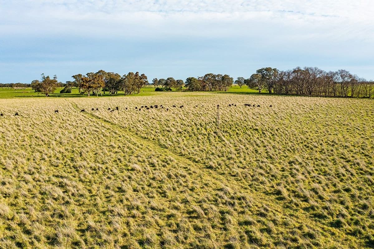 Howells Road ( CA 109), Victoria Valley, VIC, Victoria Valley - Thumbnail 6