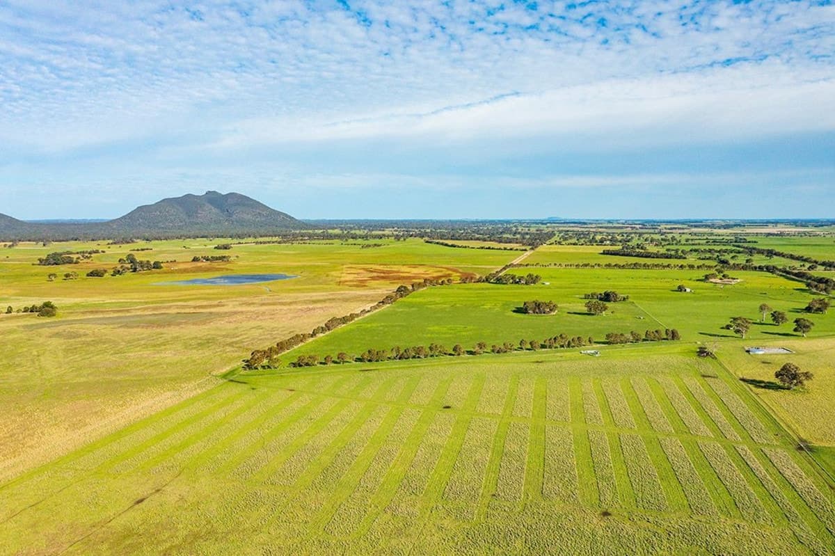 Howells Road ( CA 109), Victoria Valley, VIC, Victoria Valley - Thumbnail 8